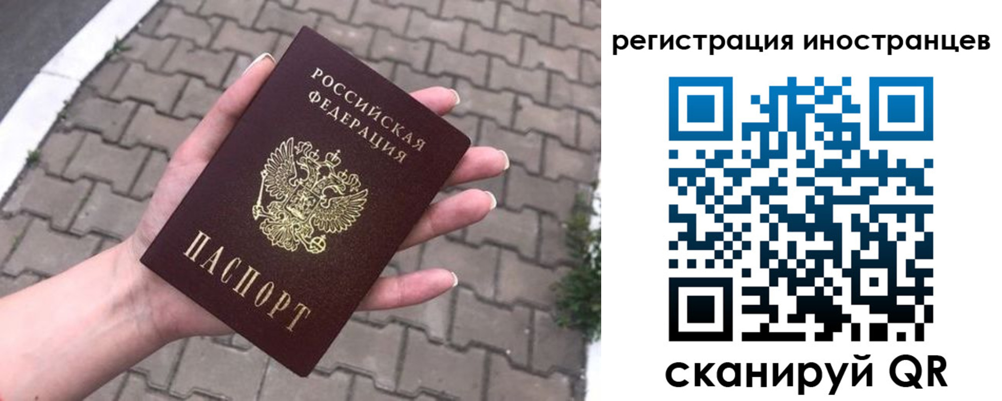 прописка для школы в Гуково